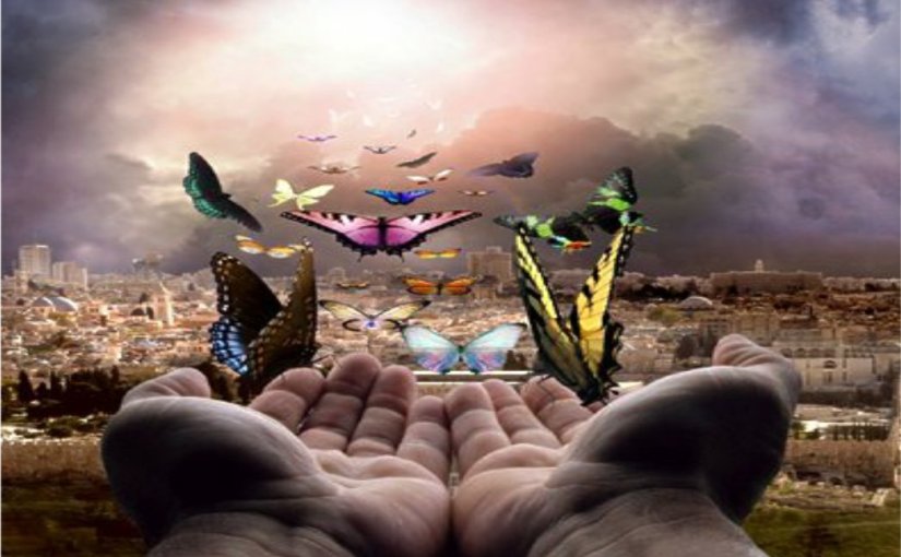 Welcome to my first&nbsp;blog!