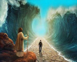 11694115_10153075218843406_1208906920_n 2